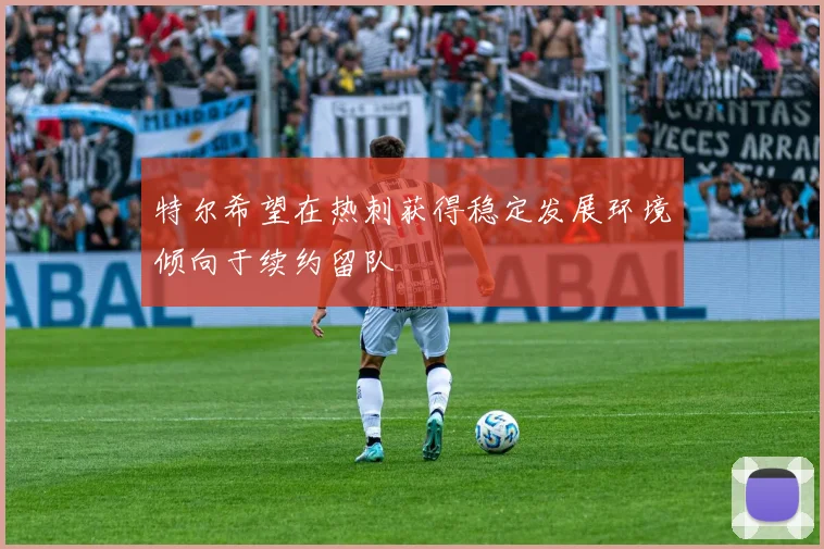 特尔希望在热刺获得稳定发展环境倾向于续约留队